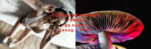 mdpv Саяногорск