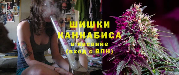 гашик Сафоново