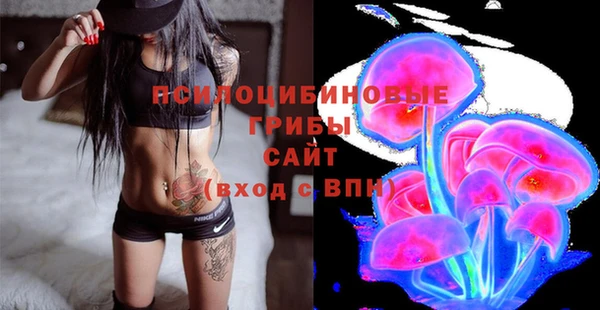 ПСИЛОЦИБИНОВЫЕ ГРИБЫ Семёнов